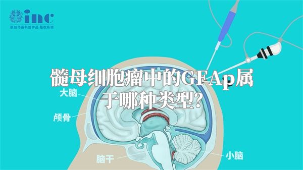 髓母细胞瘤中的GFAp属于哪种类型？