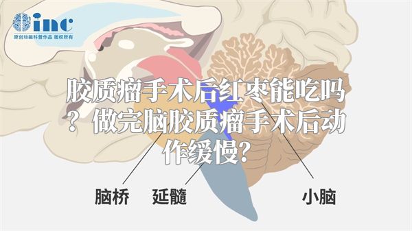 胶质瘤手术后红枣能吃吗？做完脑胶质瘤手术后动作缓慢？