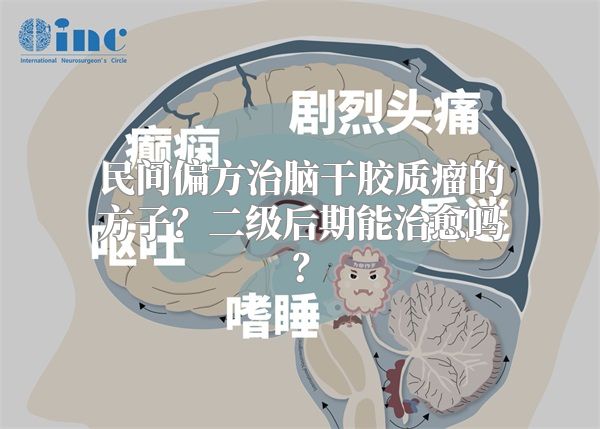 民间偏方治脑干胶质瘤的方子？二级后期能治愈吗？