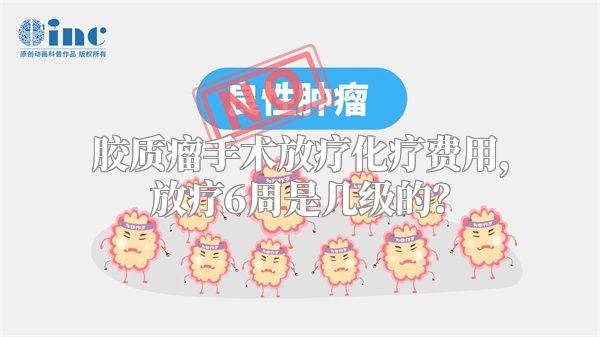 胶质瘤手术放疗化疗费用，放疗6周是几级的？