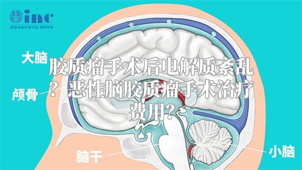 胶质瘤手术后电解质紊乱？恶性脑胶质瘤手术治疗费用？