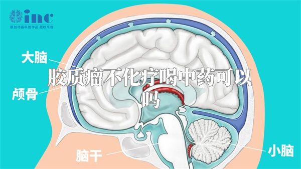 胶质瘤不化疗喝中药可以吗