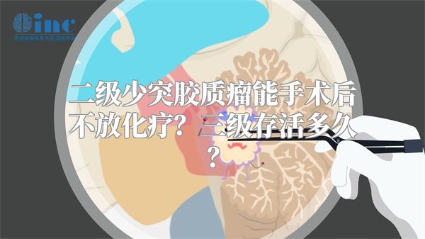 二级少突胶质瘤能手术后不放化疗？三级存活多久？