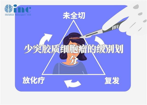 少突胶质细胞瘤的级别划分