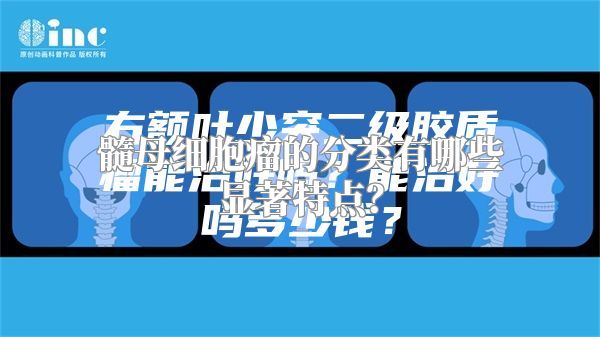 髓母细胞瘤的分类有哪些显著特点？