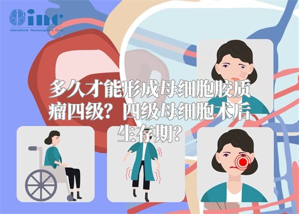 多久才能形成母细胞胶质瘤四级？四级母细胞术后生存期？