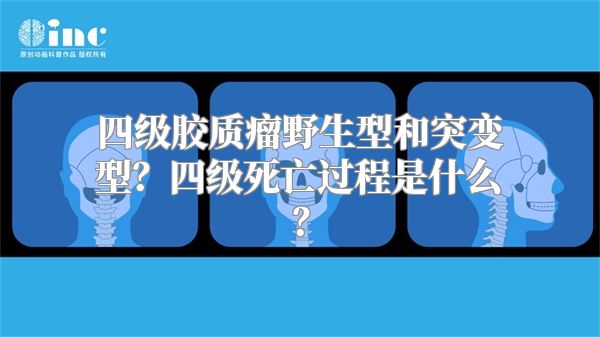 四级胶质瘤野生型和突变型？四级死亡过程是什么？