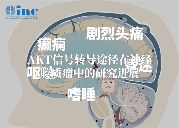 AKT信号转导途径在神经胶质瘤中的研究进展