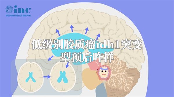 低级别胶质瘤idh1突变型预后咋样