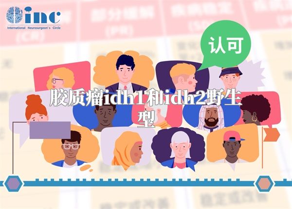 胶质瘤idh1和idh2野生型