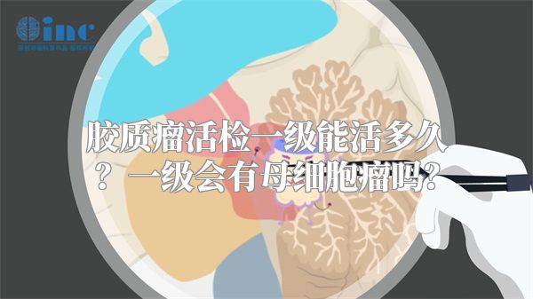 胶质瘤活检一级能活多久？一级会有母细胞瘤吗？