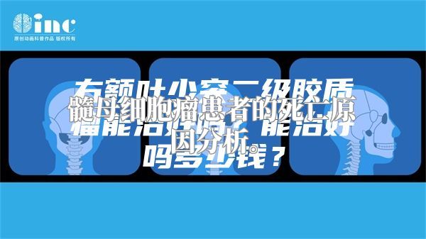 髓母细胞瘤患者的死亡原因分析。