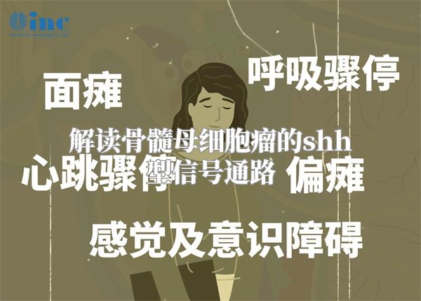 解读骨髓母细胞瘤的shh型信号通路