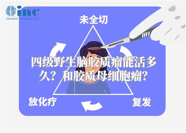 四级野生脑胶质瘤能活多久？和胶质母细胞瘤？