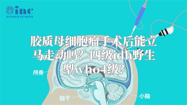 胶质母细胞瘤手术后能立马走动吗？四级idh野生型who4级？