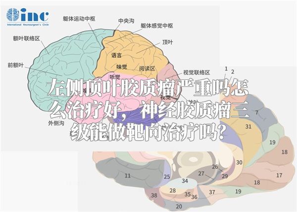 左侧顶叶胶质瘤严重吗怎么治疗好，神经胶质瘤三级能做靶向治疗吗？