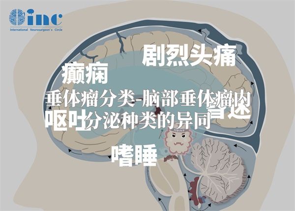 垂体瘤分类-脑部垂体瘤内分泌种类的异同