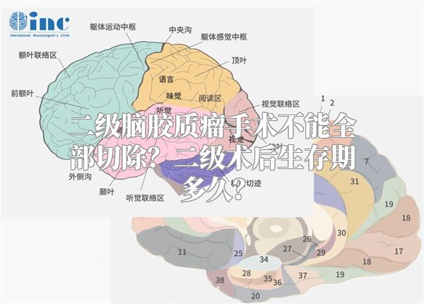 二级脑胶质瘤手术不能全部切除？二级术后生存期多久？