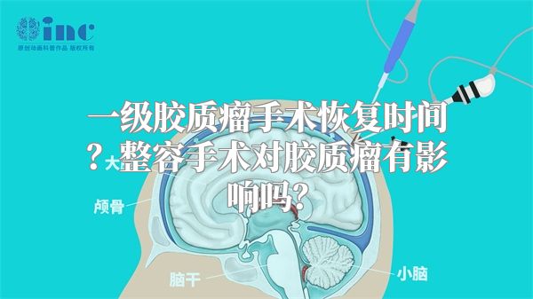 一级胶质瘤手术恢复时间？整容手术对胶质瘤有影响吗？