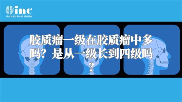 胶质瘤一级在胶质瘤中多吗？是从一级长到四级吗？