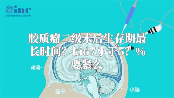 胶质瘤二级术后生存期最长时间？ki67小于5？%要紧么