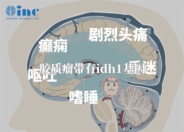 胶质瘤带有idh1基因