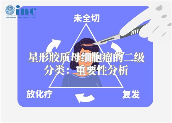 星形胶质母细胞瘤的二级分类：重要性分析