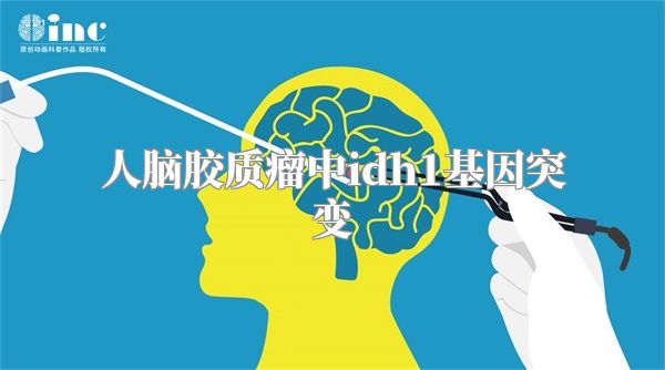 人脑胶质瘤中idh1基因突变