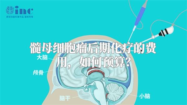 髓母细胞瘤后期化疗的费用，如何预算？