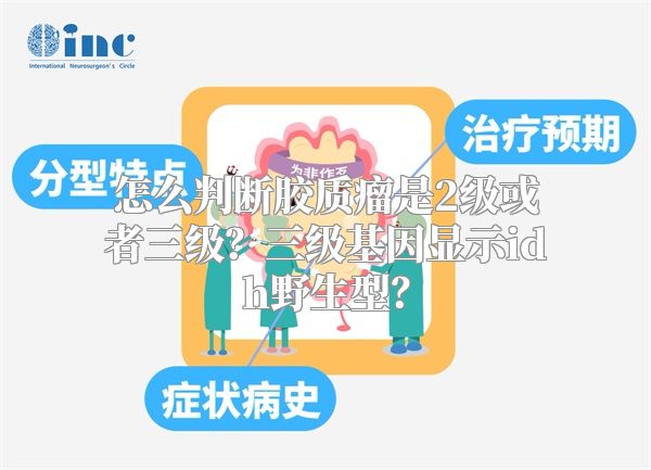 怎么判断胶质瘤是2级或者三级？三级基因显示idh野生型？