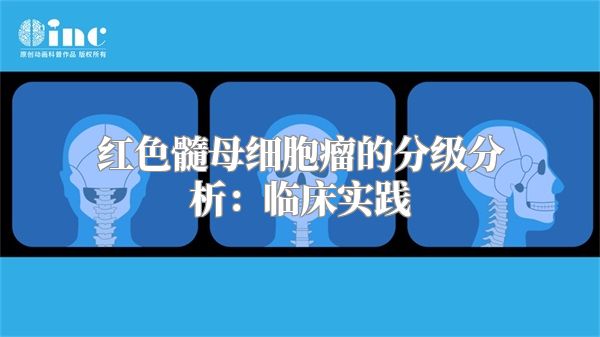 红色髓母细胞瘤的分级分析：临床实践