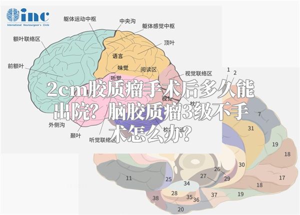 2cm胶质瘤手术后多久能出院？脑胶质瘤3级不手术怎么办？