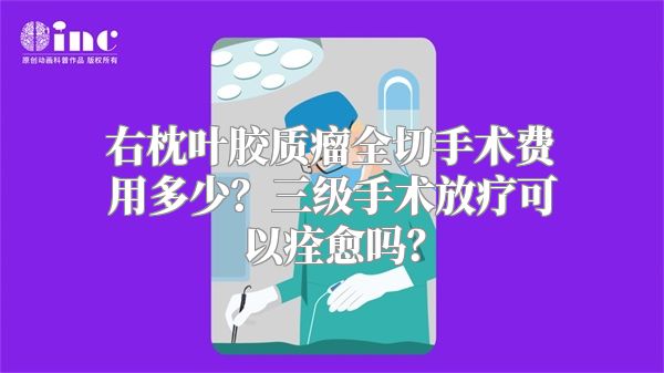 右枕叶胶质瘤全切手术费用多少？三级手术放疗可以痊愈吗？