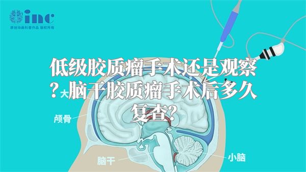 低级胶质瘤手术还是观察？脑干胶质瘤手术后多久复查？