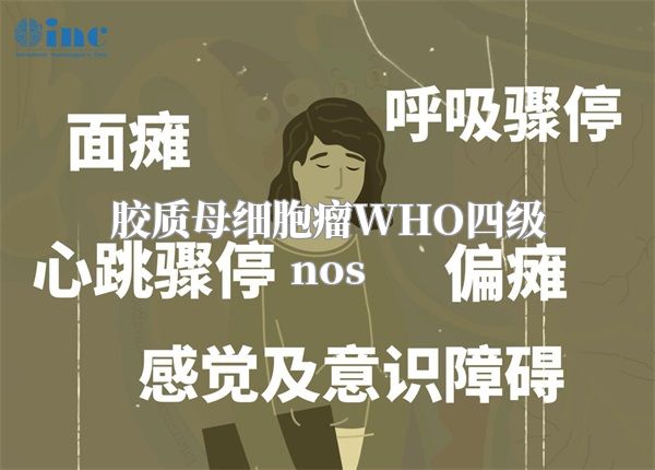 胶质母细胞瘤WHO四级nos