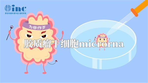 胶质瘤干细胞microrna