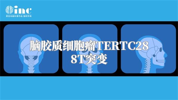 脑胶质细胞瘤TERTC288T突变