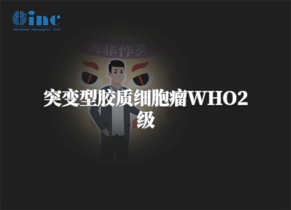 突变型胶质细胞瘤WHO2级