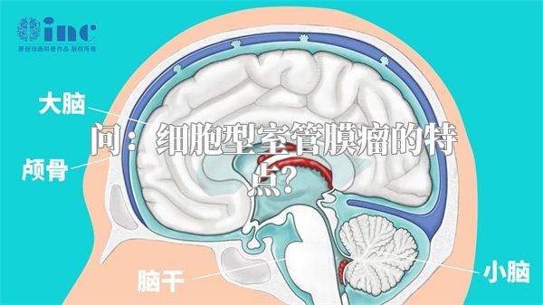 问：细胞型室管膜瘤的特点？