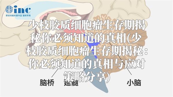 少枝胶质细胞瘤生存期揭秘你必须知道的真相(少枝胶质细胞瘤生存期揭秘：你必须知道的真相与应对策略分享)