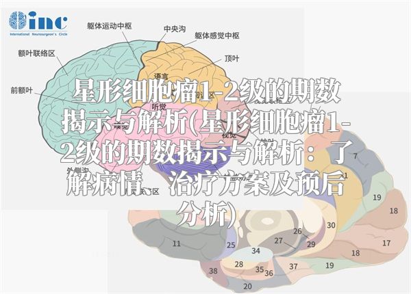 星形细胞瘤1-2级的期数揭示与解析(星形细胞瘤1-2级的期数揭示与解析：了解病情、治疗方案及预后分析)