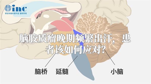 脑胶质瘤晚期频繁出汗，患者该如何应对？