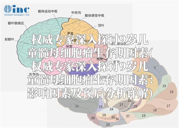 权威专家深入探讨9岁儿童髓母细胞瘤生存期因素(权威专家深入探讨9岁儿童髓母细胞瘤生存期因素：影响因素及预后分析详解)