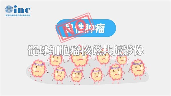 髓母细胞瘤核磁共振影像