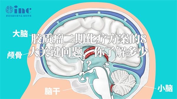 胶质瘤二期化疗方案的8大关键问题，你了解多少？