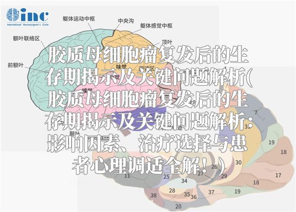 胶质母细胞瘤复发后的生存期揭示及关键问题解析(胶质母细胞瘤复发后的生存期揭示及关键问题解析：影响因素、治疗选择与患者心理调适全解！)