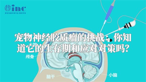 宠物神经胶质瘤的挑战：你知道它的生存期和应对对策吗？