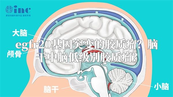 egfr20基因突变的胶质瘤？脑干中脑低级别胶质瘤？