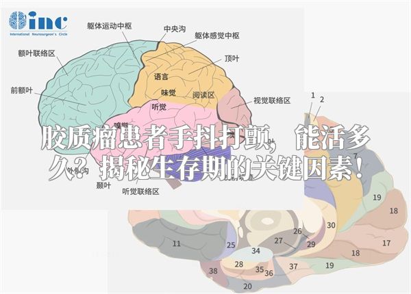 胶质瘤患者手抖打颤，能活多久？揭秘生存期的关键因素！