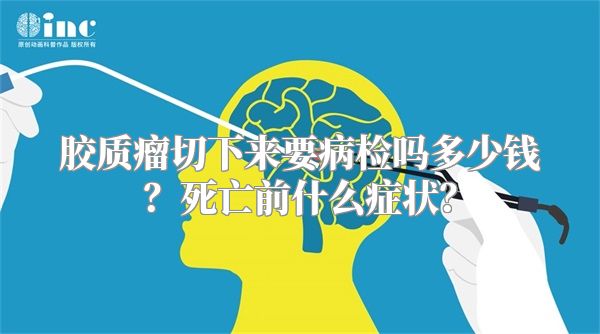 胶质瘤切下来要病检吗多少钱？死亡前什么症状？